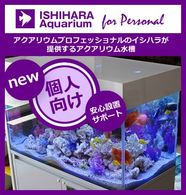 ISHIHARA Aquarium for Personal（個人のお客様向け） アクアリウムプロフェッショナルのイシハラが提供するアクアリウム水槽