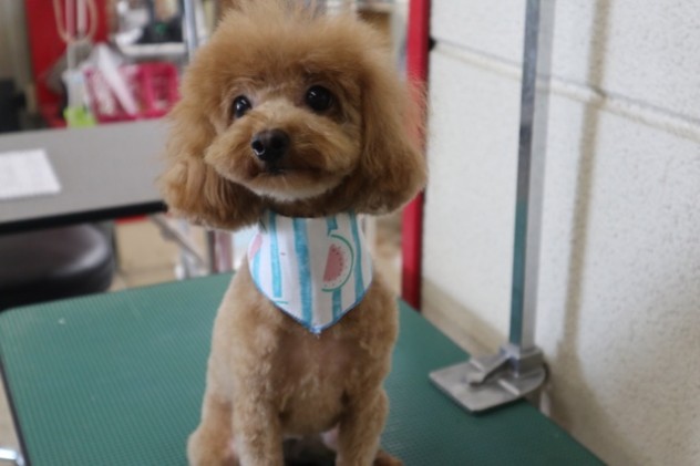 81840927-A133-41BD-B8A7-EA05D7098165
