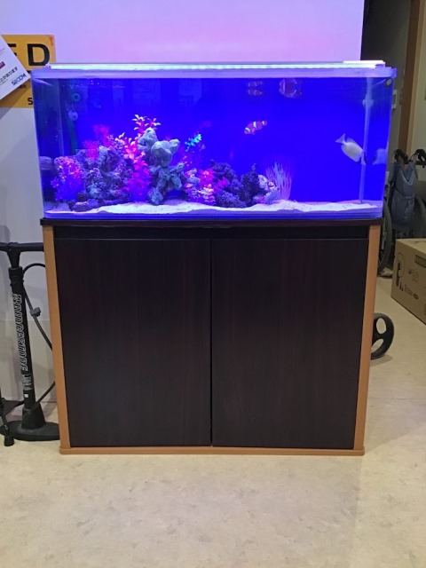 水槽90x45x45セツト - 魚用品/水草