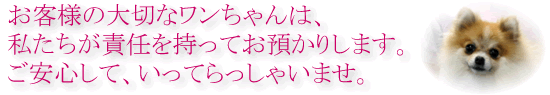 ba-hotel-anshin-01